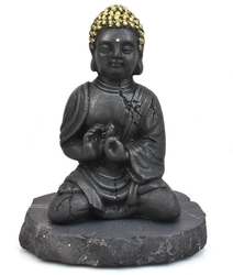 Buddha so zlatou hlavou